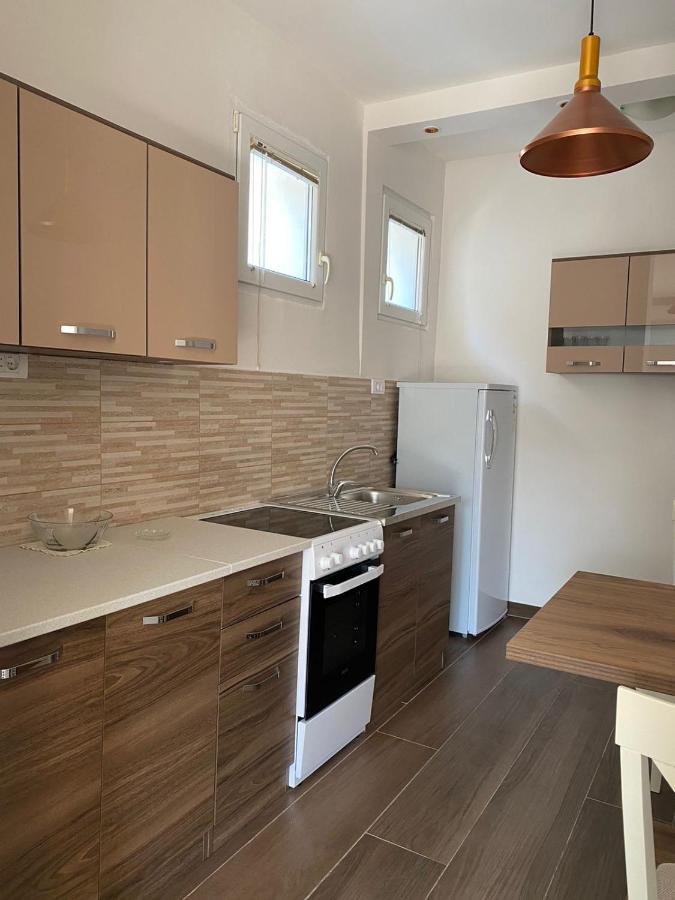 Apartmani Vila Цетинє